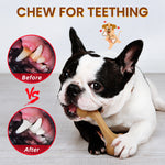 Load image into Gallery viewer, 3 Pack Dog Toys for Aggressive Chewers, Nylon Dog Chew Toy, Teething Bones for Large Small Medium Dogs
