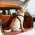 Load image into Gallery viewer, 2 Pack Dog Seat Belt for Car, Adjustable Elastic Pet Travel Tether, Reflective Nylon Leash with Metal Hook for Dogs and Cats
