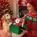 Load image into Gallery viewer, 10 pack Dog Toys for Aggressive Chewers, PcEoTllar Squeaky Plush Dog Rope Toys, Puppy Chew Toys, Xmas Pet Gifts for Small Medium Large Dogs
