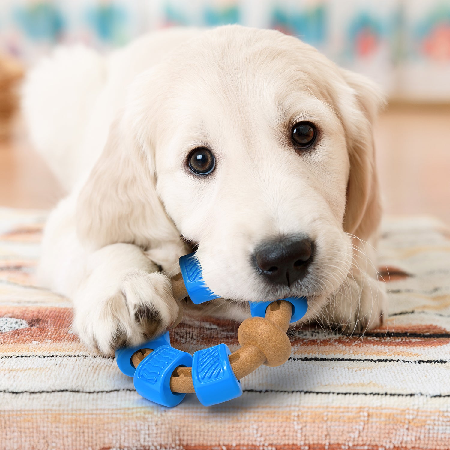 PcEoTllar Dog Chew Toy for Aggressive Chewers, Interactive Ring Dog Toys for Chewing Teething, Blue