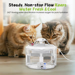 Load image into Gallery viewer, PcEoTllar Cat Water Fountain, 75oz/2.2L Automatic Pet Fountain Dispenser, Smart Pump with LED Light, White
