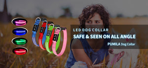 led dog collar 