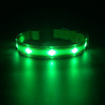 Load image into Gallery viewer, PcEoTllar LED Dog Collar - Waterproof Light up Dog Collar Type C Rechargeable for Night Dog Walking
