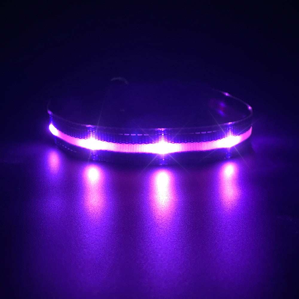 PcEoTllar Light up LED Dog Collar - Waterproof TC Rechargeable RGB Colorful Adjustable Safety Dog Collar for Small Medium Large Dogs
