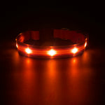 Load image into Gallery viewer, PcEoTllar LED Dog Collar - Waterproof Light up Dog Collar Type C Rechargeable for Night Dog Walking
