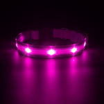 Load image into Gallery viewer, PcEoTllar LED Dog Collar - Waterproof Light up Dog Collar Type C Rechargeable for Night Dog Walking
