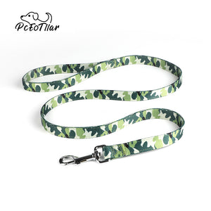 PcEoTllar Dog Collar and Dog Leash Set with Safety Locking Buckle Adjustable Nylon Dog Collars for Small Medium Dogs (Light Green)