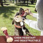 Load image into Gallery viewer, PcEoTllar Tough Dog Bone Chew Toy for Aggressive Super Chewers Large Breed Medium Small Dog Long Lasting Indestructible Dog Toy
