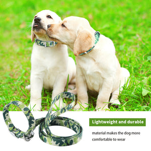 PcEoTllar Dog Collar and Dog Leash Set with Safety Locking Buckle Adjustable Nylon Dog Collars for Small Medium Dogs (Light Green)