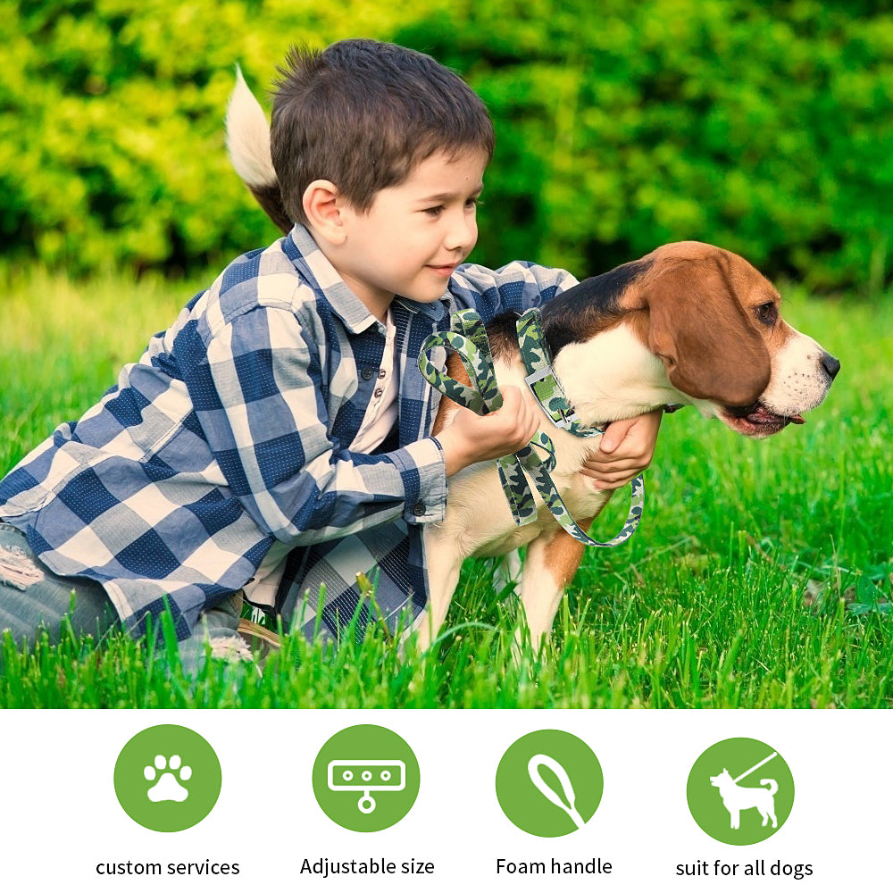 PcEoTllar Dog Collar and Dog Leash Set with Safety Locking Buckle Adjustable Nylon Dog Collars for Small Medium Dogs (Light Green)
