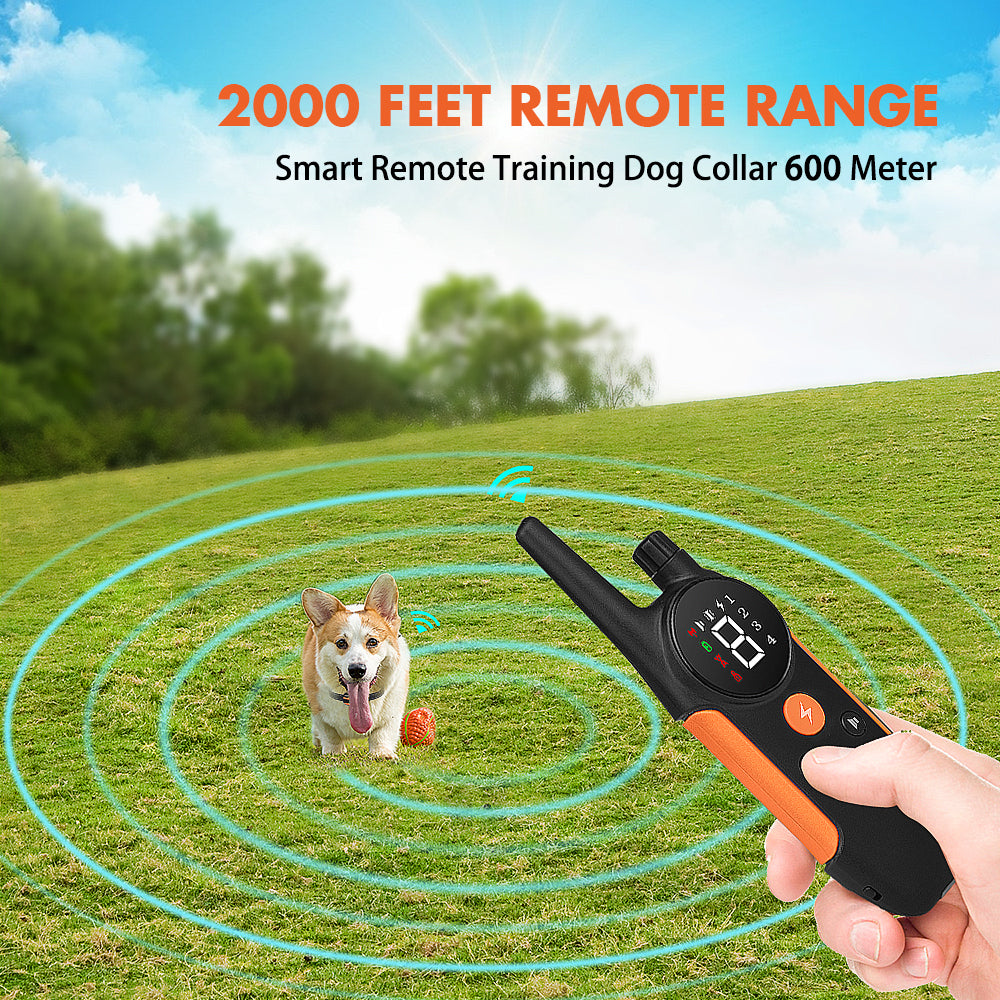 PcEoTllar Dog Training Collar with Beep, Vibration and Shock Training Modes for Small to Large Dogs, Waterproof Rechargeable Bark Collar, 2000ft Remote Range