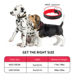 Load image into Gallery viewer, PcEoTllar Reflective Nylon Dog Collar - Adjustable Soft Classic Dog Collar with Quick Release Buckle for Puppy &amp; Small Dogs (Orange)
