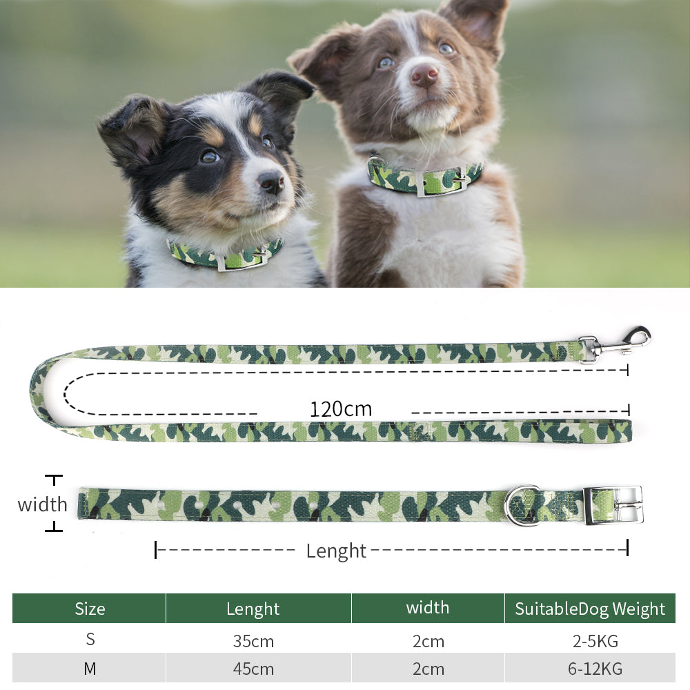 PcEoTllar Dog Collar and Dog Leash Set with Safety Locking Buckle Adjustable Nylon Dog Collars for Small Medium Dogs (Light Green)