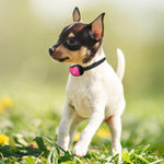 Load image into Gallery viewer, Small Dog Bark Collar, PcEoTllar Bark Collar for Small Dogs 5-15lbs No Shock Bark Collar for Small Medium Large Dogs with 7 Adjustable Sensitivity and Intensity Beep Vibration
