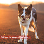 Load image into Gallery viewer, PcEoTllar Tough Bone Dog Chew Toy for Aggressive Super Chewers Large Breed Medium Small Dog Long Lasting Indestructible Dog Toys
