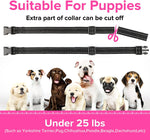 Load image into Gallery viewer, Small Dog Bark Collar, PcEoTllar Bark Collar for Small Dogs 5-15lbs No Shock Bark Collar for Small Medium Large Dogs with 7 Adjustable Sensitivity and Intensity Beep Vibration
