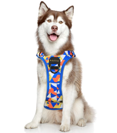 PcEoTllar No Pull Dog Harness, Adjustable Reflective Soft Breathable Oxford Dog Walking Harness with Easy Control Handle for Small Dogs