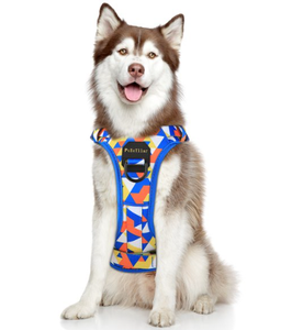 PcEoTllar No Pull Dog Harness, Adjustable Reflective Soft Breathable Oxford Dog Walking Harness with Easy Control Handle for Small Dogs