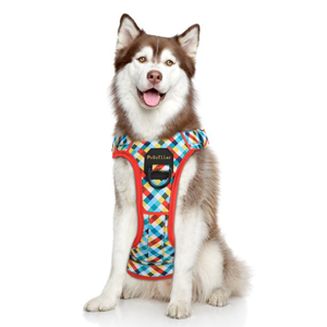 PcEoTllar No Pull Dog Harness, Adjustable Reflective Soft Breathable Oxford Dog Walking Harness with Easy Control Handle for Small Dogs
