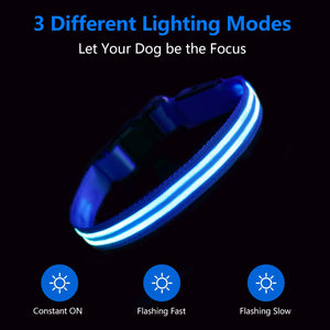 PcEoTllar LED Dog Collar - Waterproof Rechargeable for Night Walking Light up Adjustable Safety Dog Collar for Large Dogs (Green)