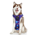 Load image into Gallery viewer, PcEoTllar No Pull Dog Harness, Adjustable Reflective Soft Breathable Oxford Dog Walking Harness with Easy Control Handle for Small Dogs
