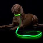Load image into Gallery viewer, PcEoTllar Safety LED Light Up Dog Leash - 3 Lighting Modes USB Rechargeable Waterproof Flashing Dog Leash, Ultra High Visibility Up to 350 Yards
