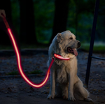 Load image into Gallery viewer, PcEoTllar Safety LED Light Up Dog Leash - 3 Lighting Modes USB Rechargeable Waterproof Flashing Dog Leash, Ultra High Visibility Up to 350 Yards
