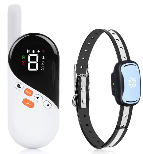 Can you use a shock collar on sales a small dog